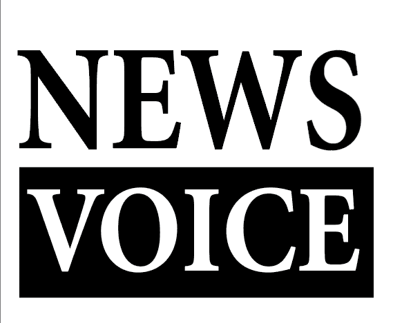 news voice logo