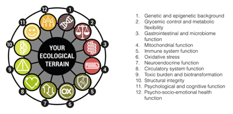 De 12 domeinen van het menselijk 'ecologisch terrein' (Bron: Alliance for Natural Health International)