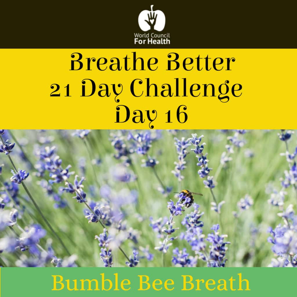 Breathe Better Challenge Day 16