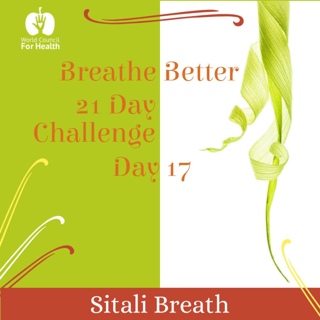 Breathe Better Challenge Day 17
