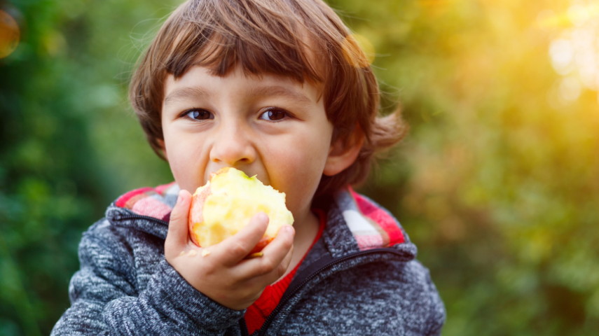 Child eating apple