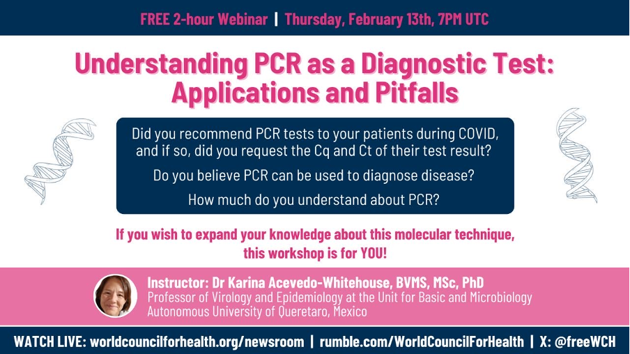 Understanding PCR